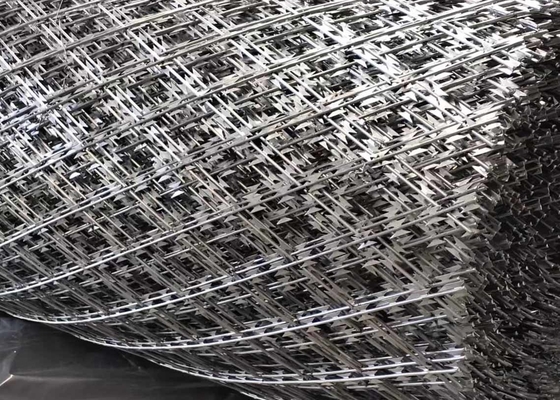 Hoge Veiligheid cbt-60 het Prikkeldraad Mesh Fence van het cbt-65 Concertinascheermes