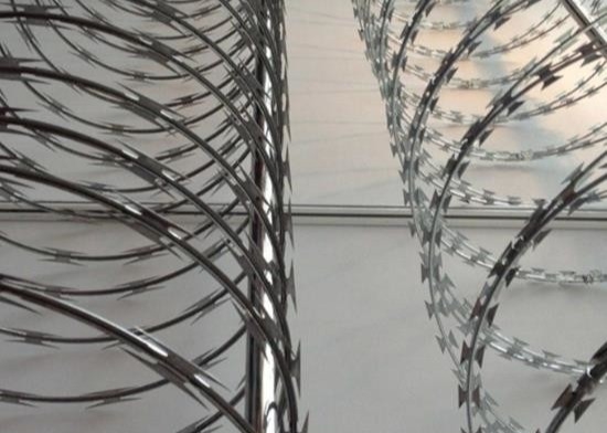 Roestvrij staal de Veiligheid Anti beklimt draad de Met weerhaken van het het concertinascheermes van de Bladgevangenis