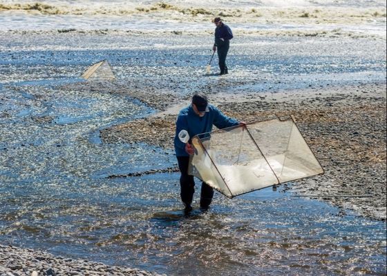 10 meshx10 mesh Alloy Whitebait Mesh voor het repareren van Whitebait-netten of het maken van schermen