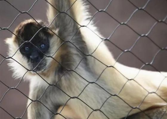 Ss 304 Ss 316 Roestvrijstalen Draadkabelnet Roestvrijstalen Ferrule Kabelnet te Koop