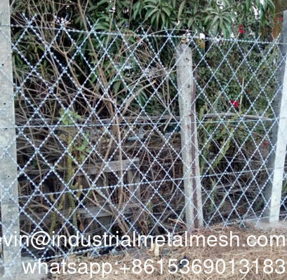 Muur Anti-diefstal gelast scheerapparaat prikkeldraad gelast scheerapparaat mesh