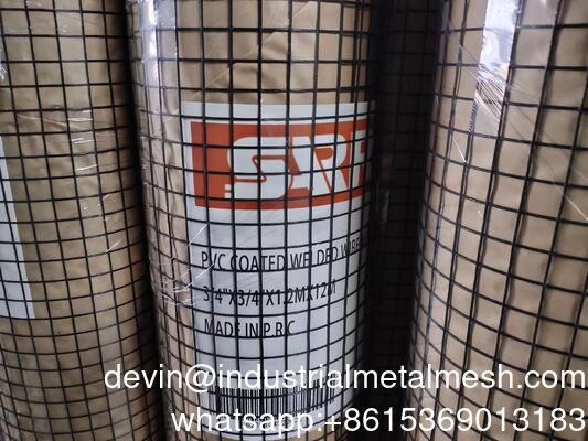 1/2 Inch Galvanized Welded Wire Mesh for Protection and Construction