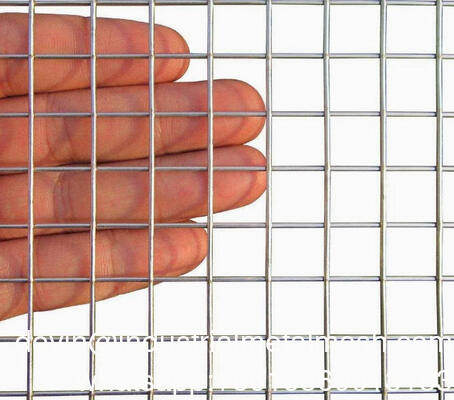 Elektro verzinkt 2*2 gelast gaaspaneel 2m*1m voor constructie