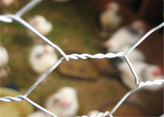 304 roestvrij staal 20 GA-van het de Draadnetwerk van het Kippenmetaal van de het Gevogelte Opleverend Hexuitdraai Gat 3/4“