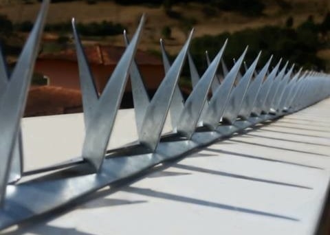 Weerhaak L64mm Barb Thickness 0.8mm Omheining Wall Spikes