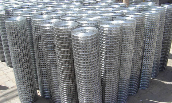 1/4x1/4 de Duim van de duim1/2x1/2 Duim 2x2 galvaniseerde Gelaste Draad Mesh Rolls 4.0mm