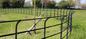 Hoog - kwaliteit 50x200mm 3d Gelaste Gebogen Draad Mesh Metal Panel Garden Fence van het Scherm de Pvc Met een laag bedekte Professionele V Vouwen