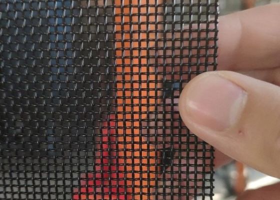 OEM 316 het Scherm Mesh Black Coated van de Roestvrij staalvlieg