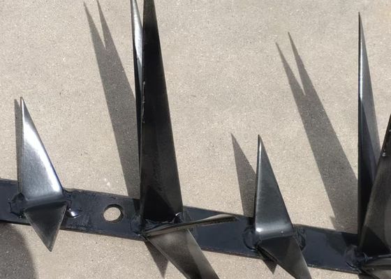 1m Lengte Grote SGS Hete Ondergedompelde Gegalvaniseerde beklimt Anti Muur Spike For Security