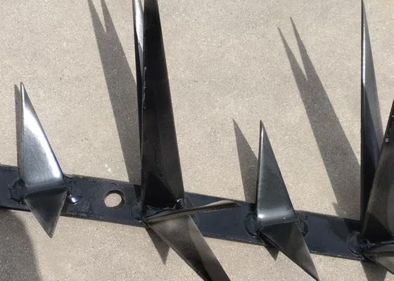 1m Lange Grote grootte Zwarte kleur Anti Klim Muur Spike Voor veiligheid