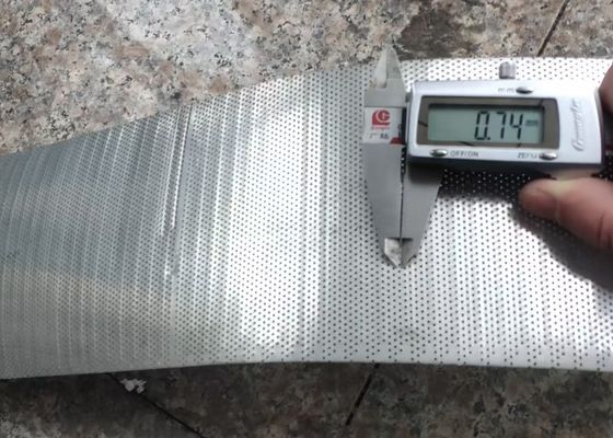 0.6mm gat 80mm breedte roestvrij staal geperforeerd plaat rond gat
