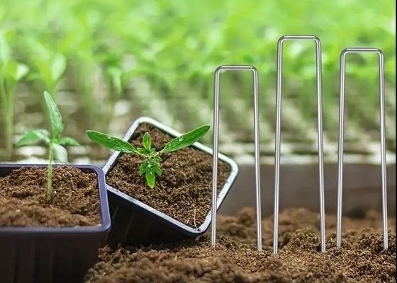 Insectennet Fixing Peg Turf Beveiliging SOD Stapels gegalvaniseerd stalen tuinnagel