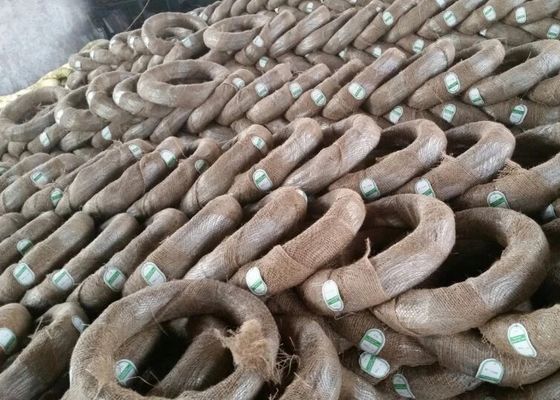 Gegalvaniseerde het Ijzerband Gegalvaniseerde Draad BWG12 van de Staal Elektro Gegalvaniseerde Draad