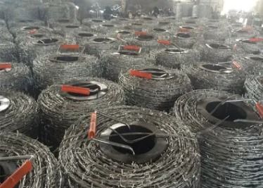 Blad Schermende Weerhaak 450mm Draad bto-18 van het Concertinascheermes