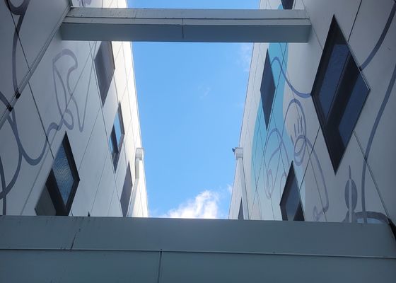 Balustrade Anticorrosief Roestvrij staal 316 Draadkabel Mesh For Protection And Safety