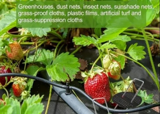 Warm gedompeld gegalvaniseerd U-type tuingras gras gras gras gras gras gras gras gras gras gras gras gras gras gras speld 9 Gauge Draaddiameter