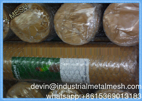 3/4" Hexagonaal Maas IJzeren Draad Maas Warm gedoopt gegalvaniseerd Kipdraad