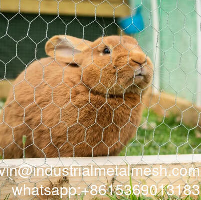 4 inch opening zeshoekig gaas gebruikt voor tuinhek