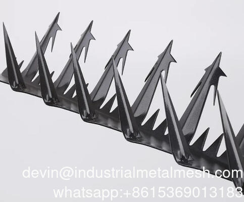 Grote 5m Duiven RVS Muur Hek Spikes Muur Spikes