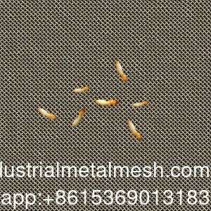 AISI 304 316 316L Termitenbestrijdend weefgetouw van roestvrij staal