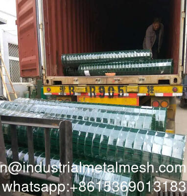 Hot Dipping Galvanized Welded Wire Mesh with Factory Price