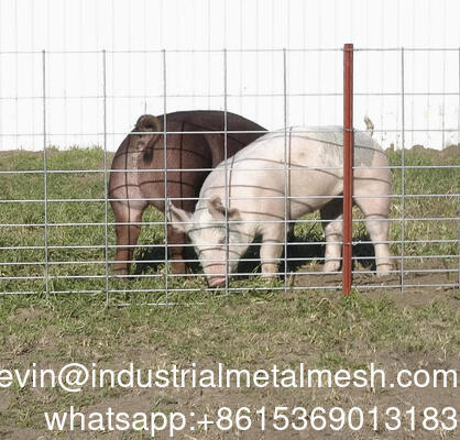 Gegalvaniseerd 6 mm tuinafscherming gelast gaas