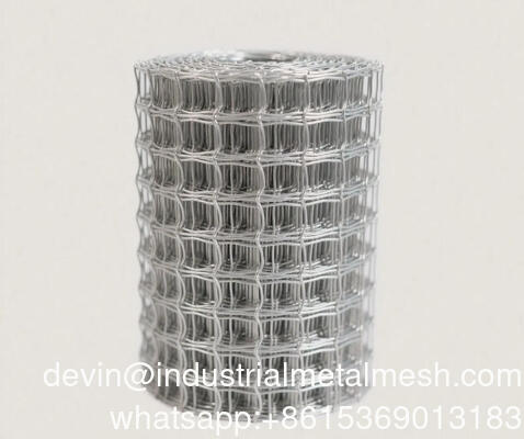 3,0 mm/4,0 mm thermisch verzinkt gelast gaaspaneel