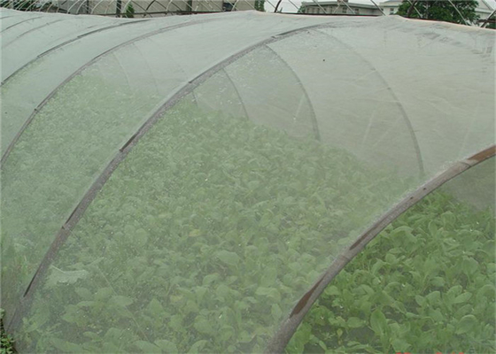 Duurzaam 5 jaar Gebruik Insectenwerend Net 20x10 Tekenwerend Net Groeiing kas