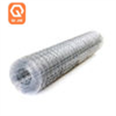 Gegalvaniseerde Gelaste Draad Met een laag bedekt Mesh For Garden Fence Pvc