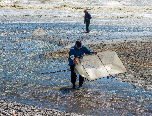 10 meshx10 mesh Alloy Whitebait Mesh voor het repareren van Whitebait-netten of het maken van schermen