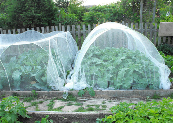 Tuinbouw Hdpe Vliegscherm Maas Landbouw Groeiende Insectenproof Netwerk 40 Maas