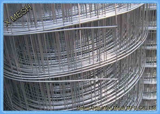 De hete ONDERDOMPELING/Electro galvaniseerde Gelast Draadnetwerk 0.8mm * 1.5m Hoog voor Afghanistan